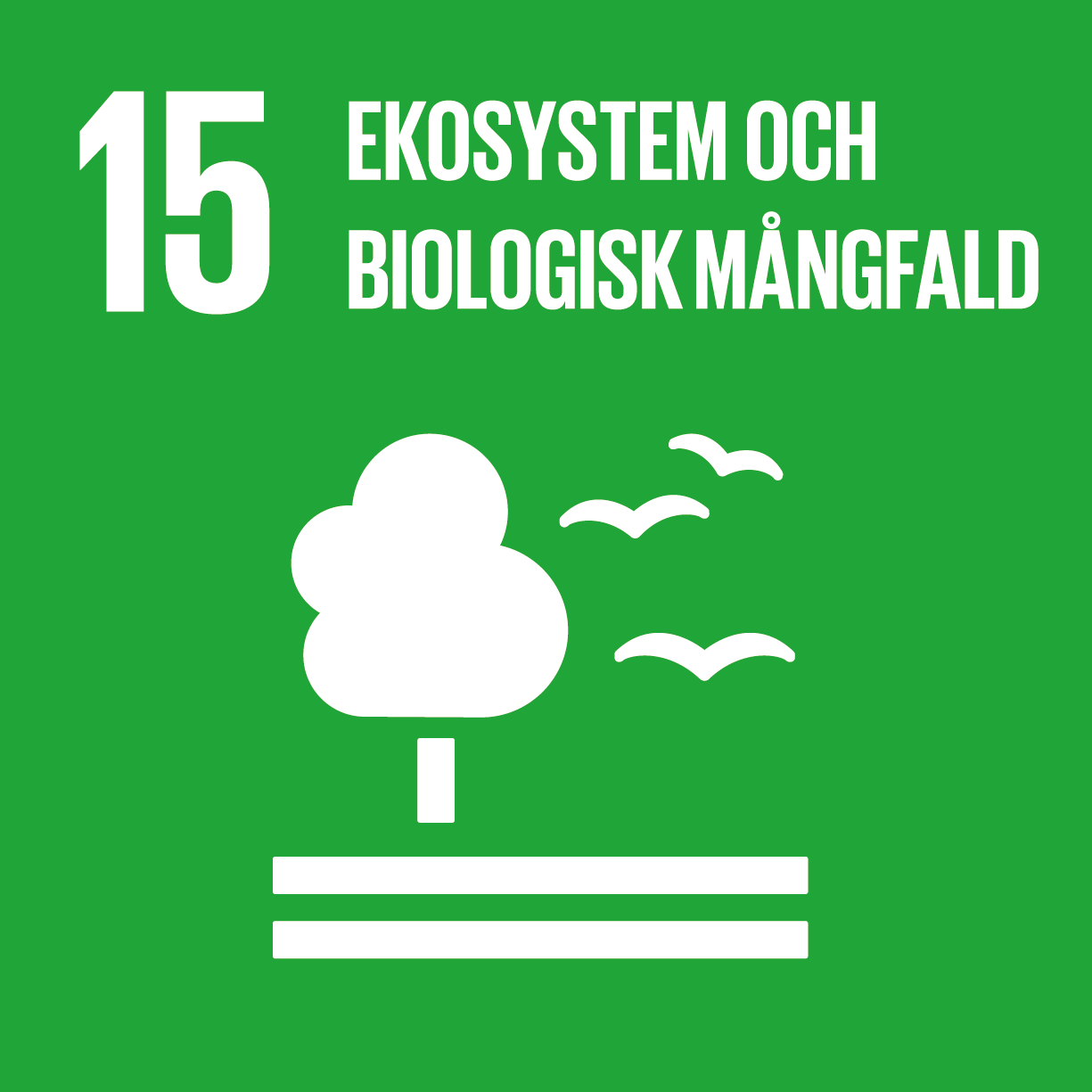 Symbol för mål nummer 15 ekosystem och ekologisk mångfald i Agenda2030